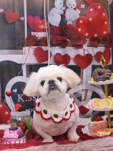 20250204エイトくん